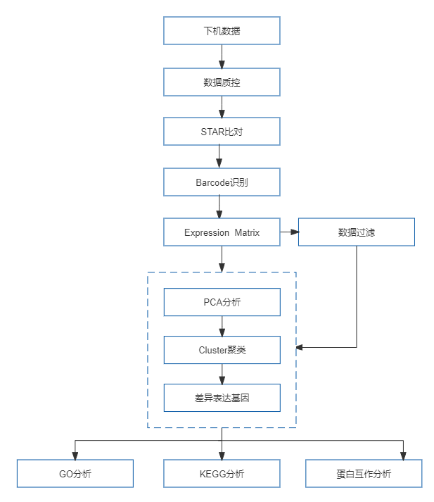 37、10x Genomics单细胞蛋白质组测序.png