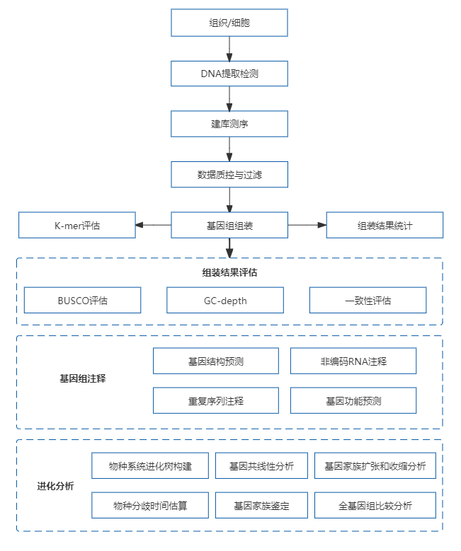 4、动植物基因组de novo.png