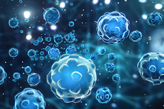 Science项目文章 | “孔明”，一种非经典核苷酸信号传导：细菌抗病毒策略的全新视角